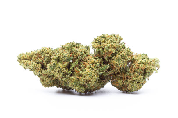 What is the top-rated dispensary for medical marijuana in Hollywood?